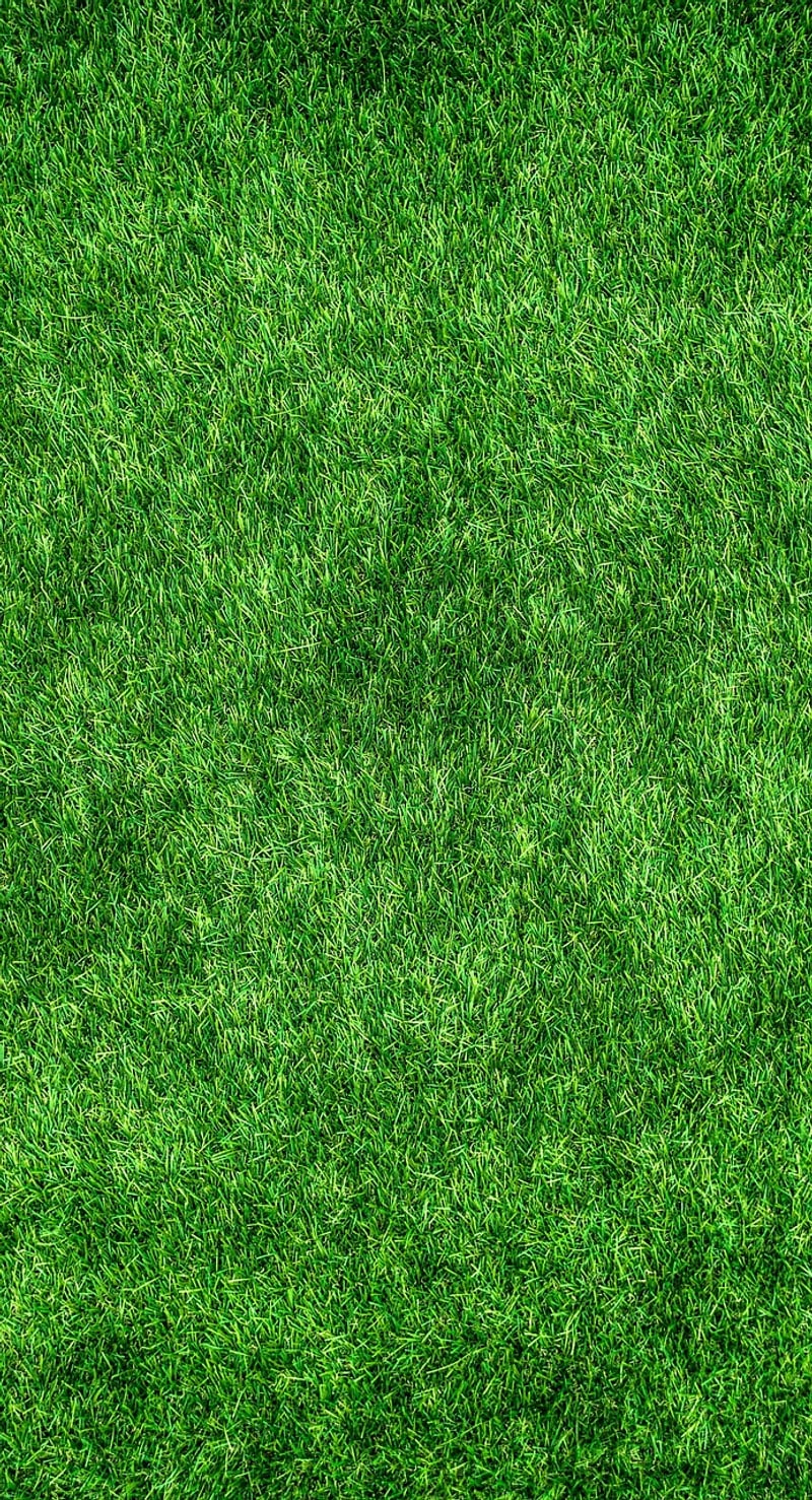 Sustainable Products
