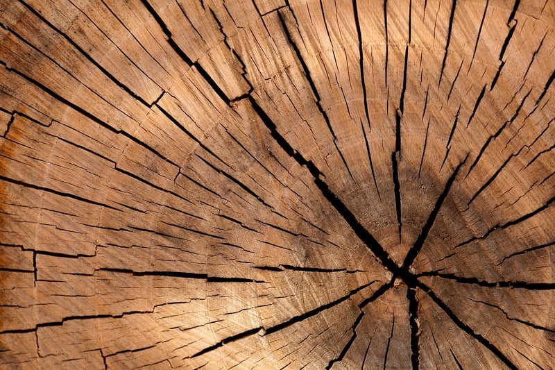 Reclaimed Wood Decor